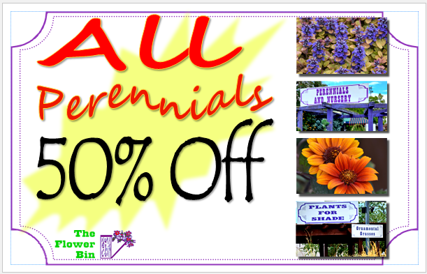 All Perennials 50% Off