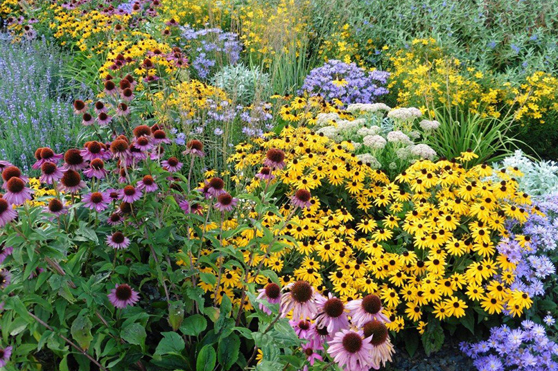 Perennials & Nursery