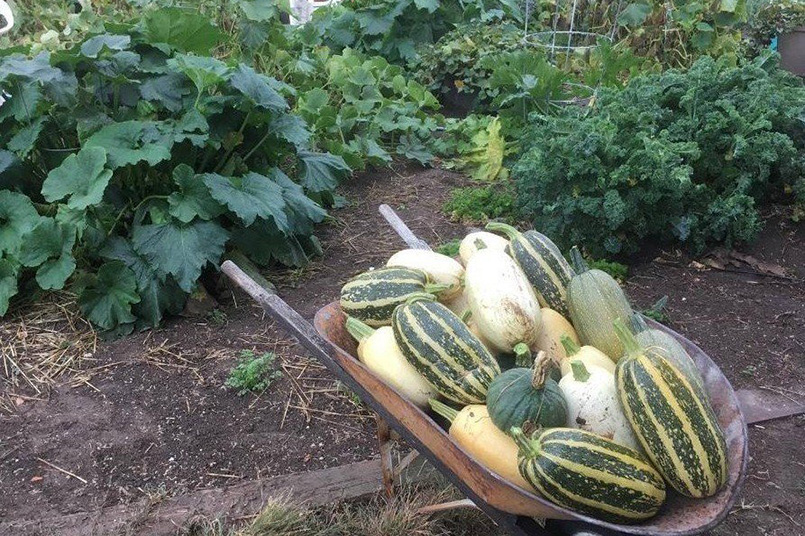 Vegetables