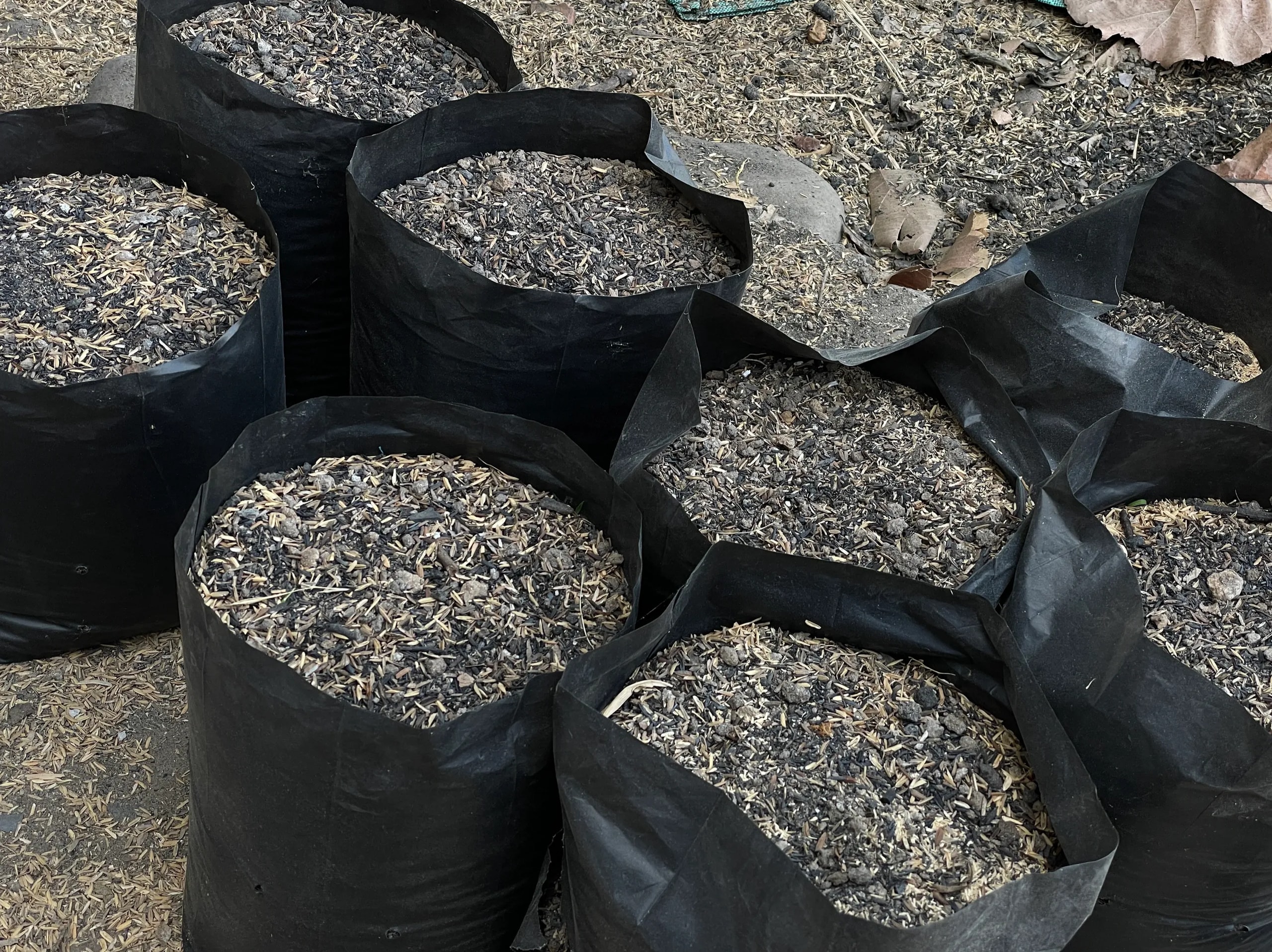 Soils & Amendments