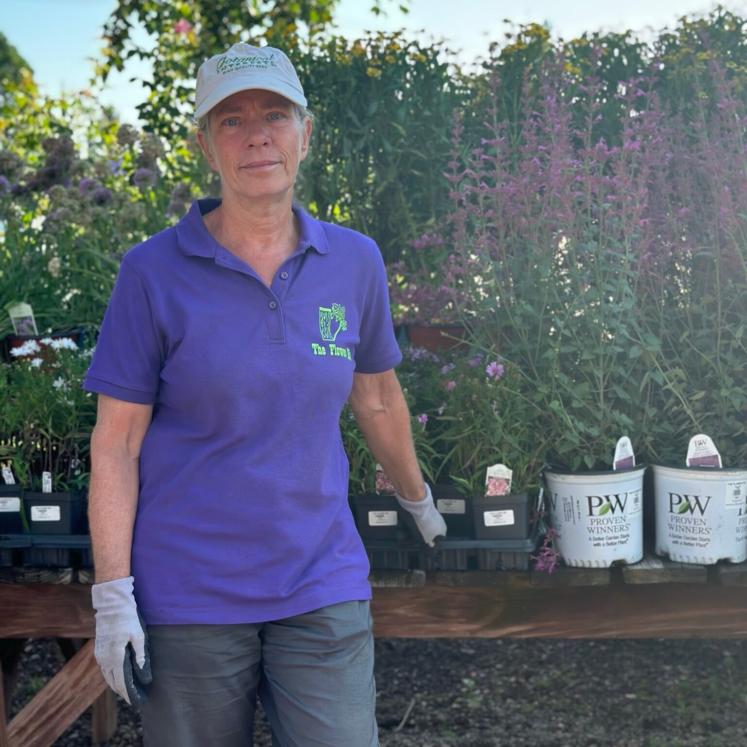 Karen, Perennials