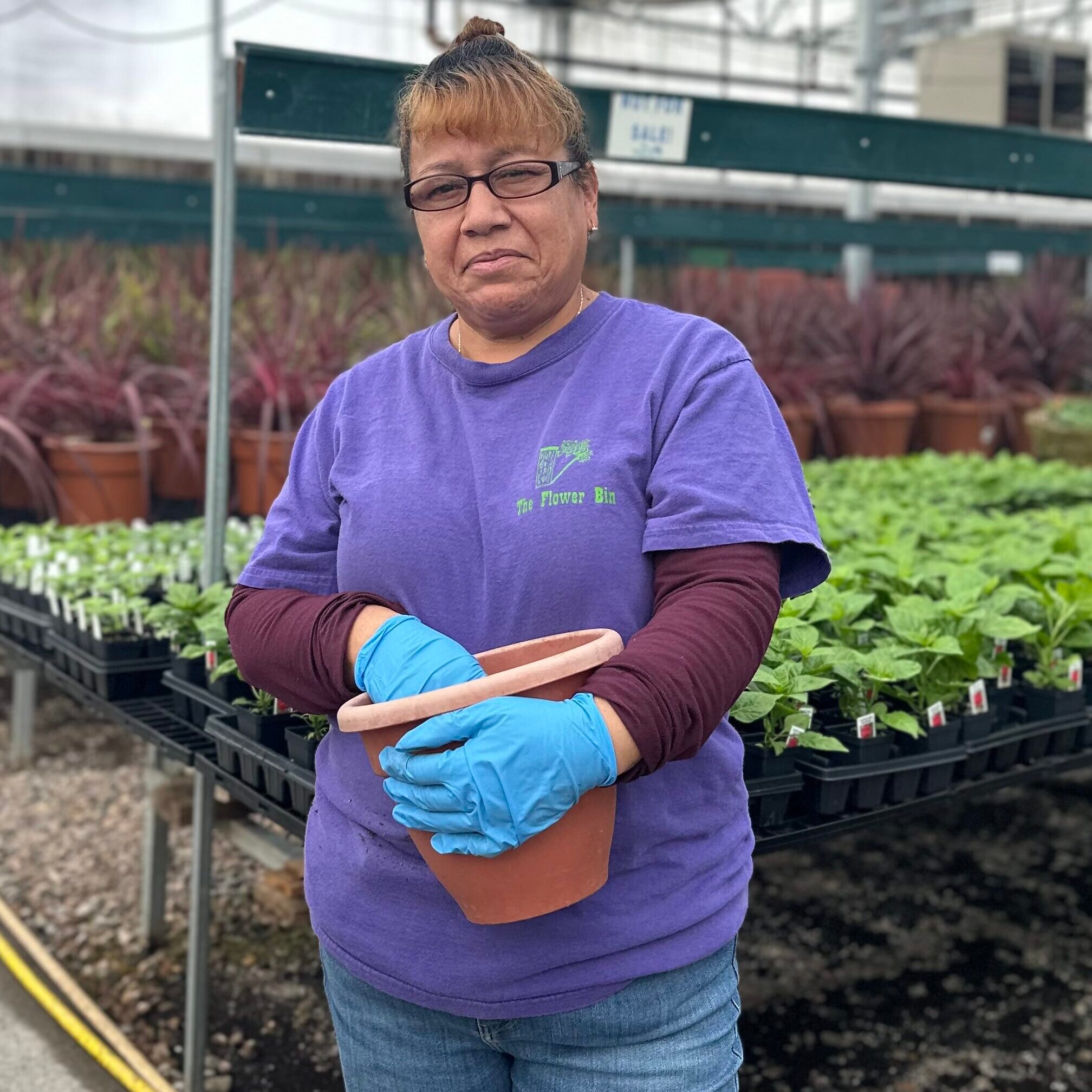 Irma, Storefront Grower Assist