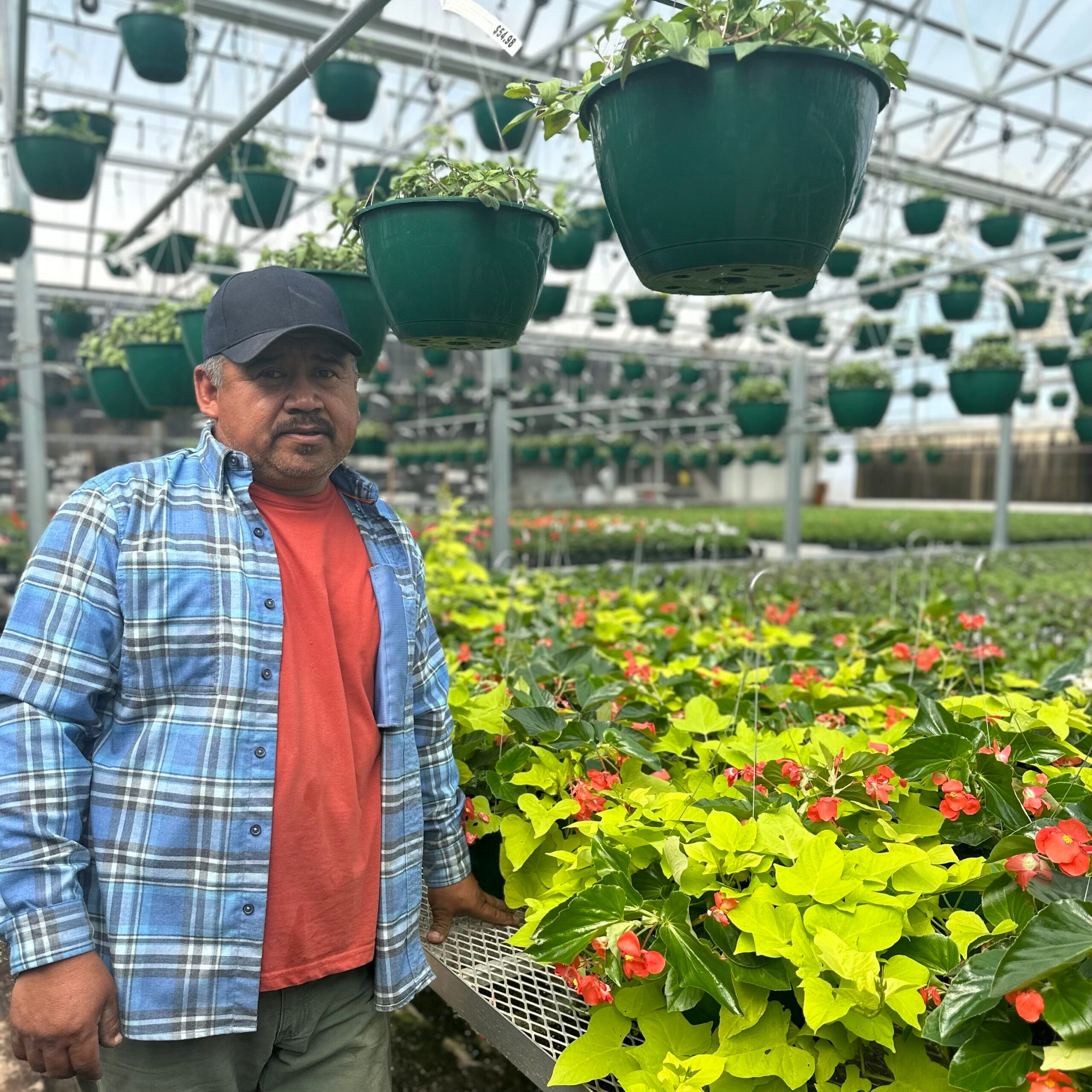 Miguel, Range Head Grower