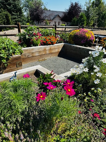 Lisa - Berthoud, 2025